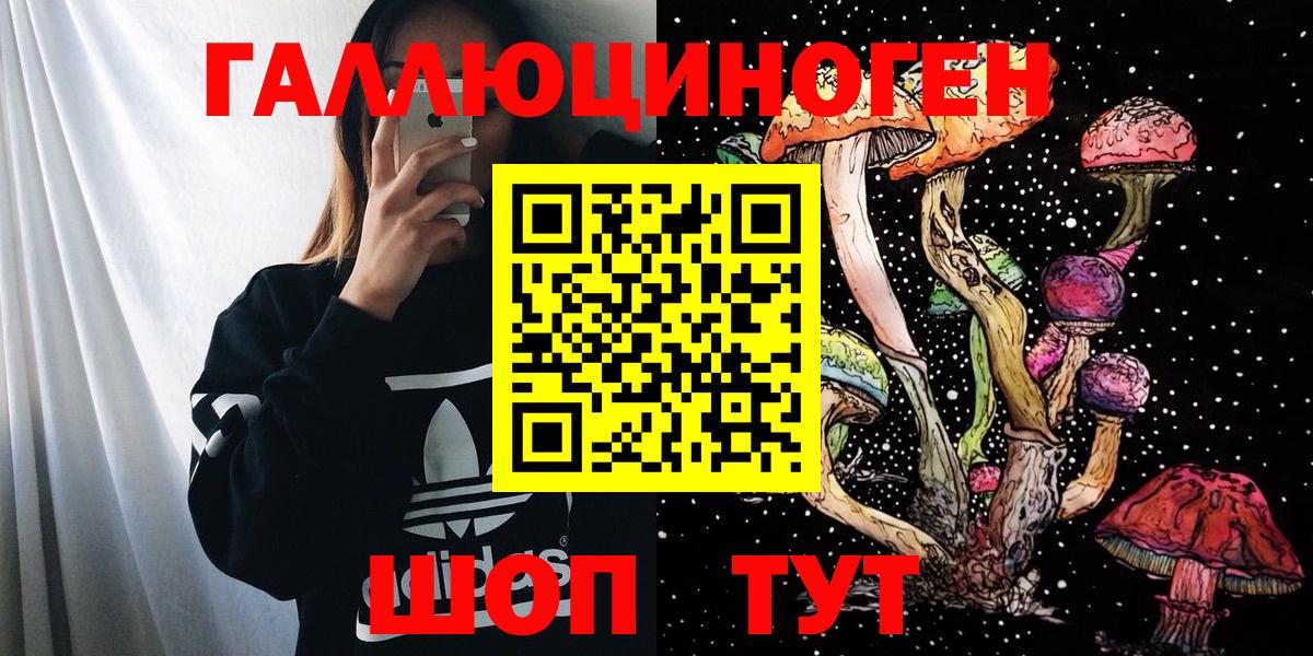 Биробиджан  Псилоцибиновые грибы GOLDEN TEACHER  Вход с VPN  Галлюциногенные грибы MAGIC MUSHROOMS 