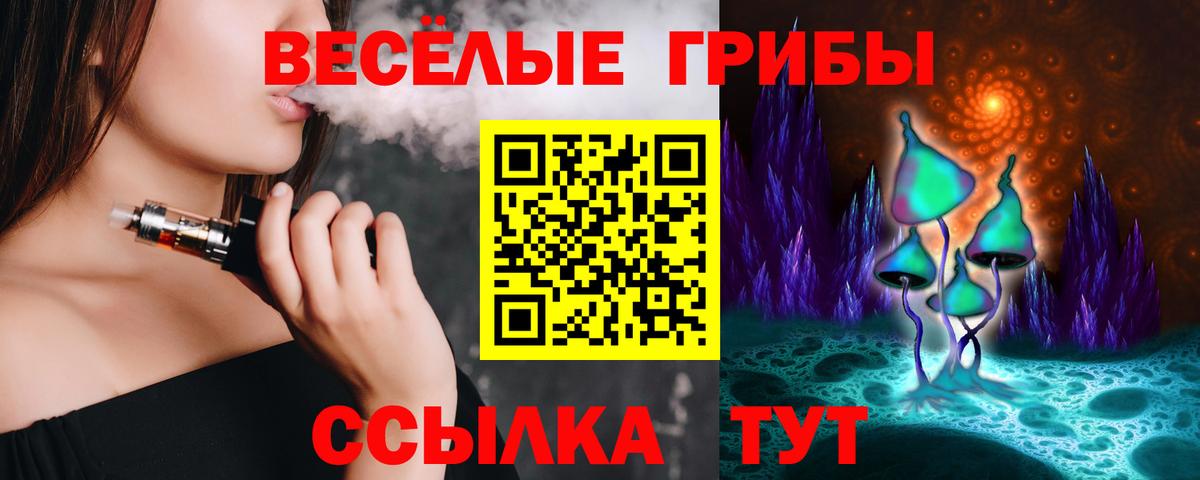 Псилоцибиновые грибы прущие грибы Биробиджан